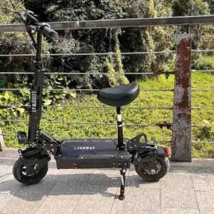 electric scooter sales liideway T2